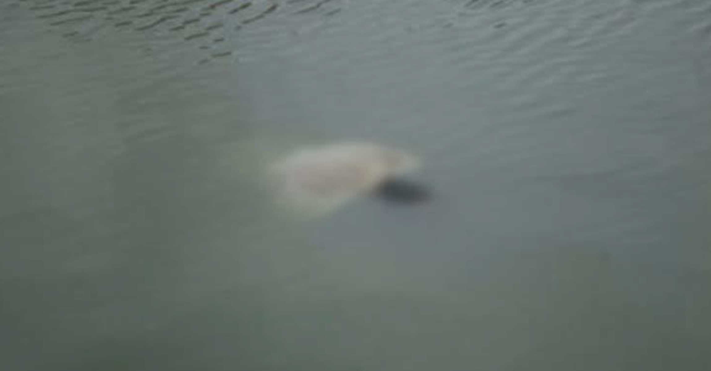 হবিগঞ্জে পানিতে ডুবে দুই বোনের মৃত্যু