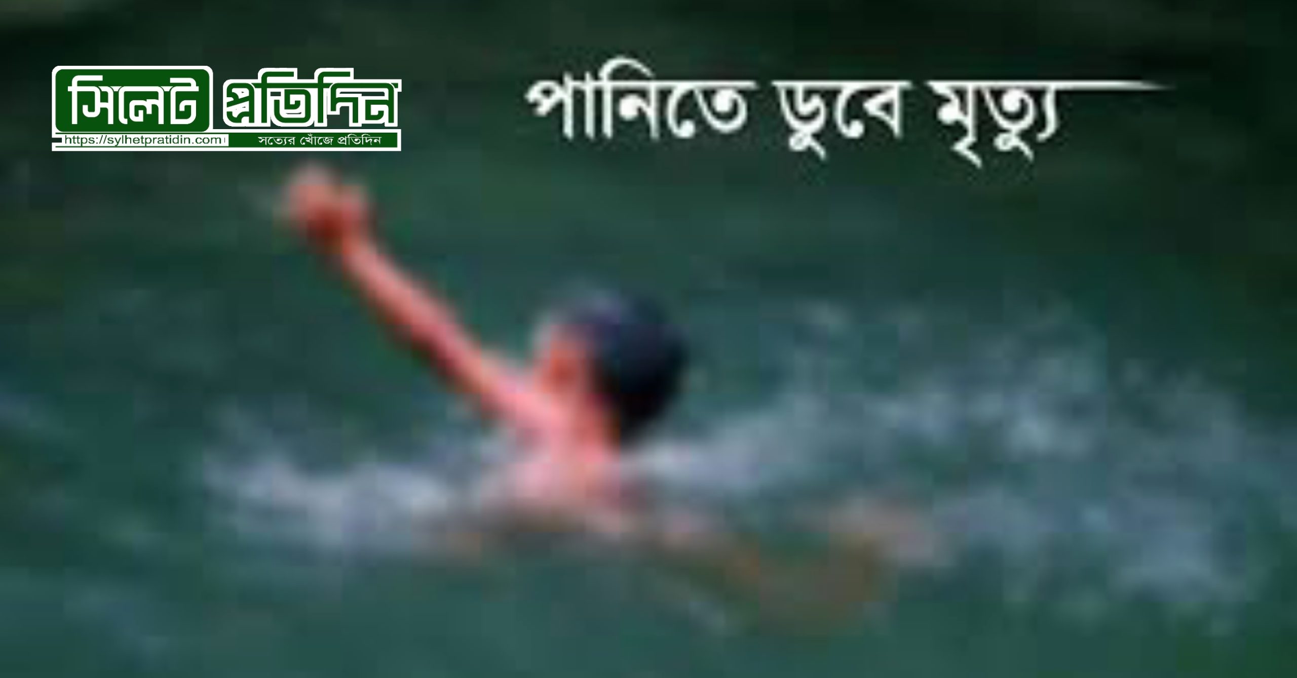 বড়লেখায় পুকুরে ডুবে দুই শিশুর করুণ মৃত্যু