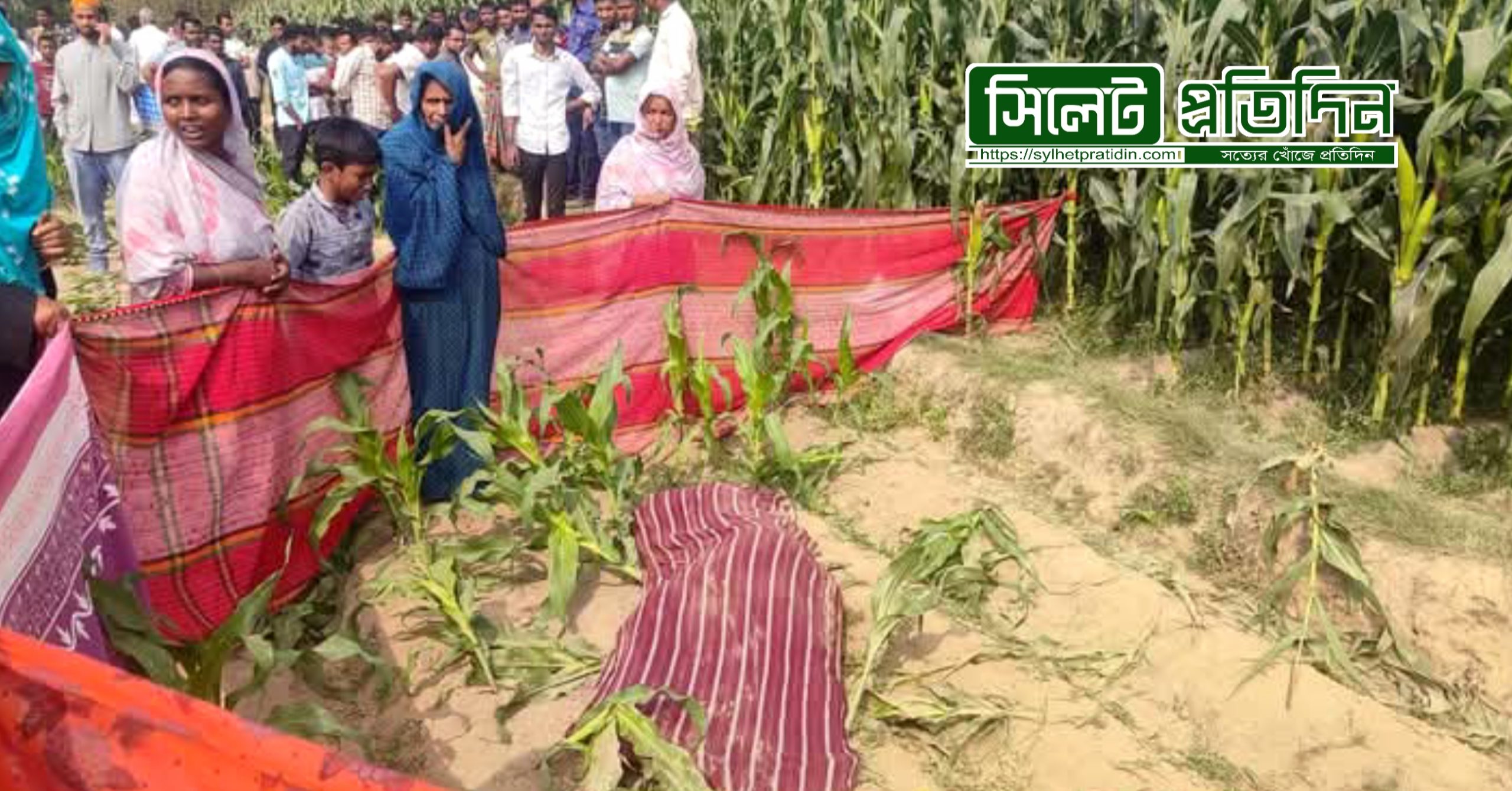 ভূট্টা ক্ষেত থেকে দুই সন্তানের জননীর মরদেহ উদ্ধার,স্বামী পলাতক